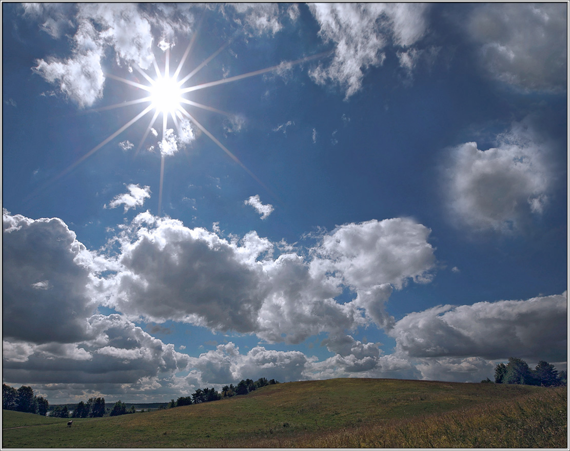 Колючее  солнце  2008-го.