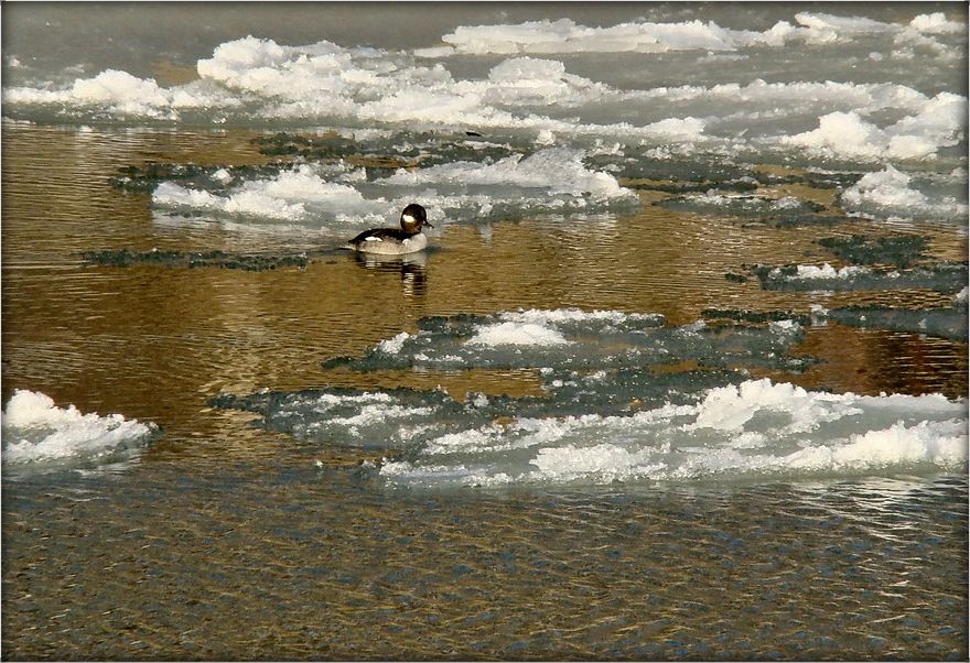 заблудзіў .. :)