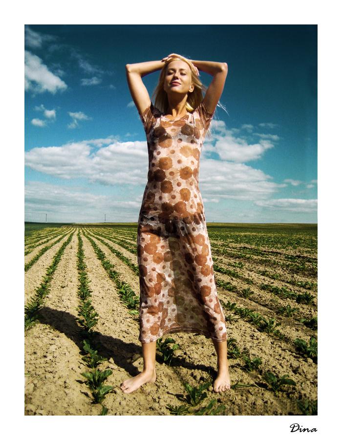 Das Glück ist auf dem Gebiet