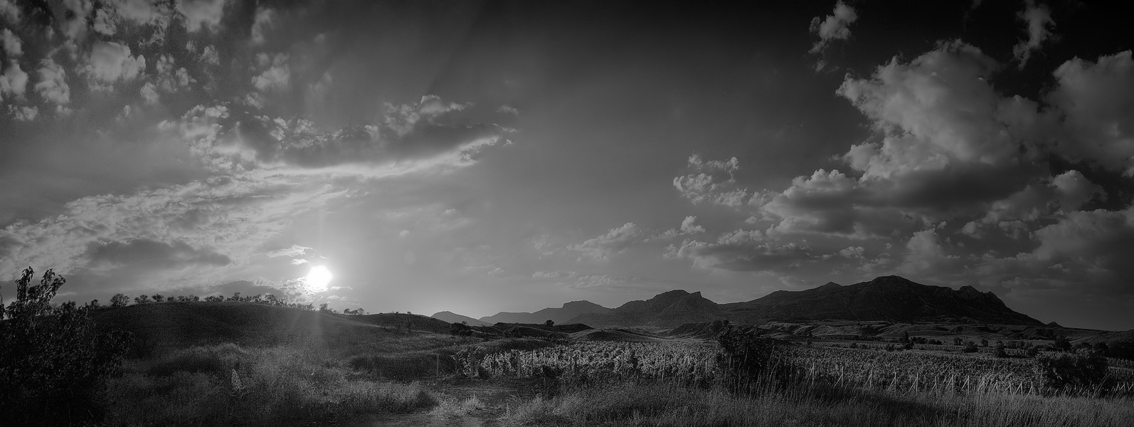 Летне-Крымская в ЧБ