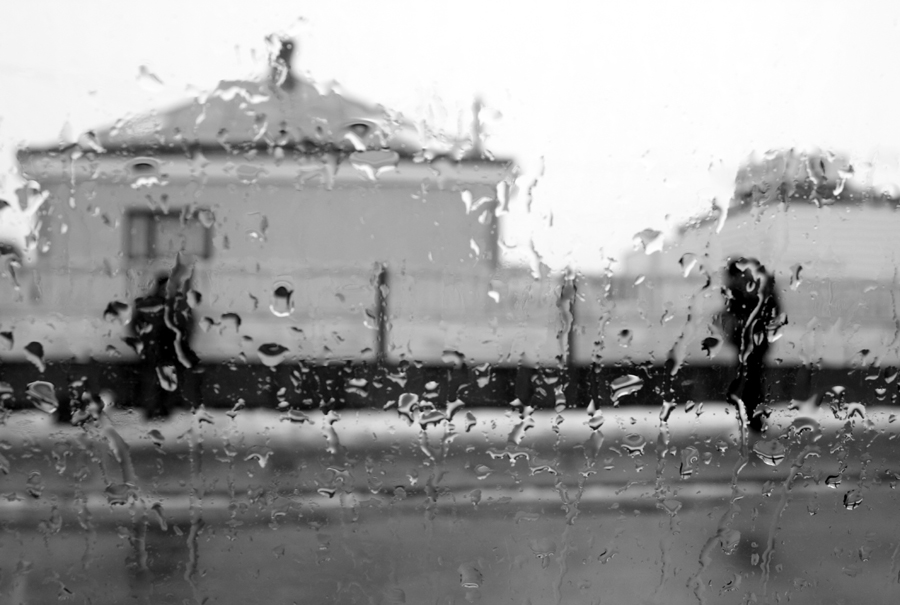 Strangers in the rain