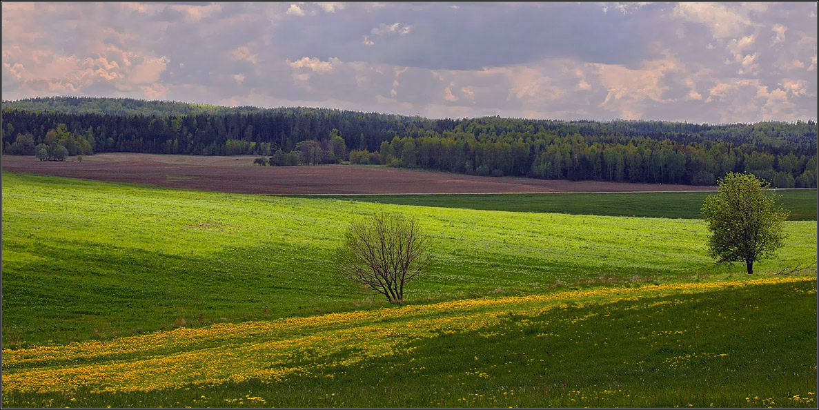 Майские  линии