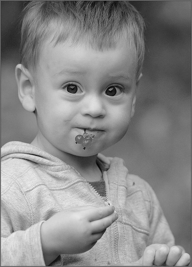 Смородинки