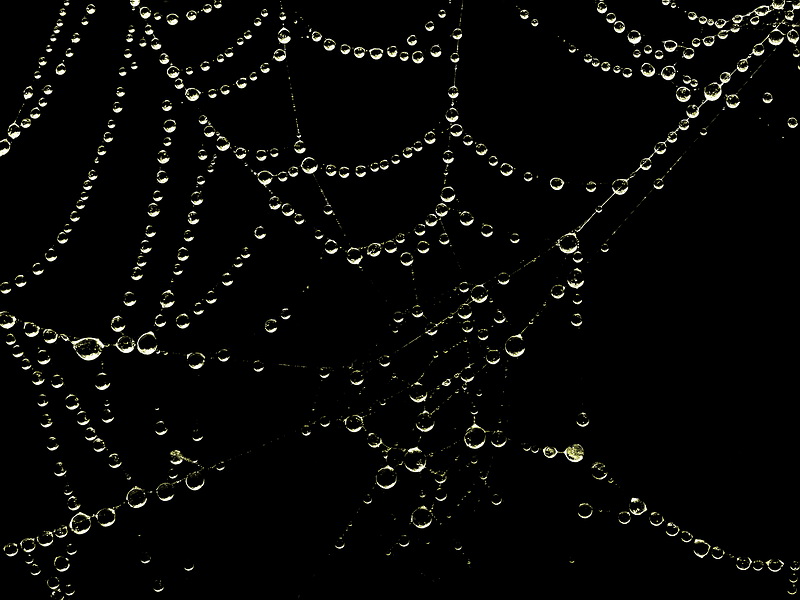 Встану рано поутру...