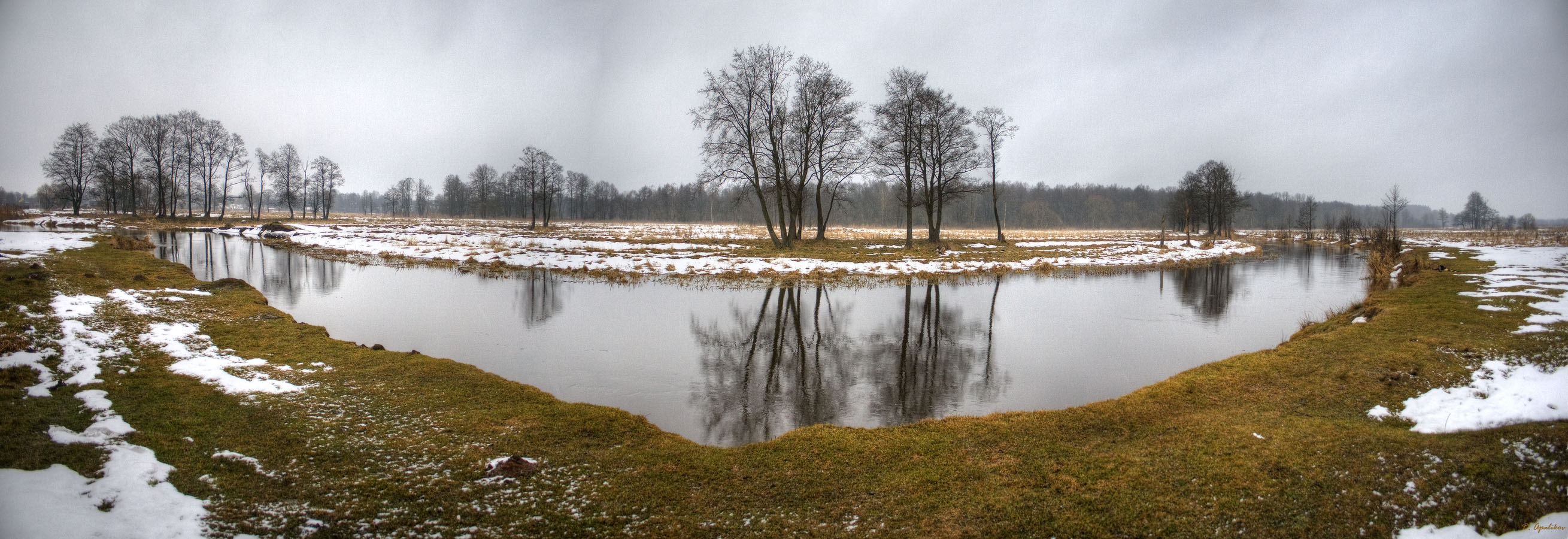 Панорама Плисы