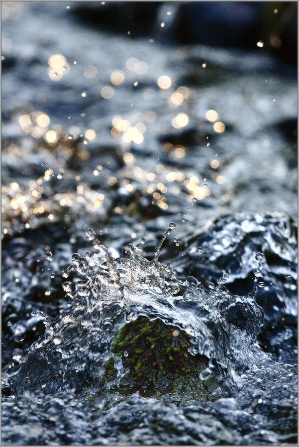 о том, как шумит весной чистый лесной ручей