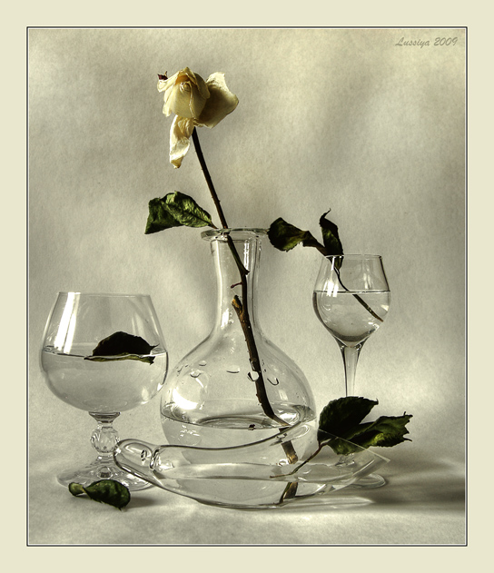 Жизнь за стеклом