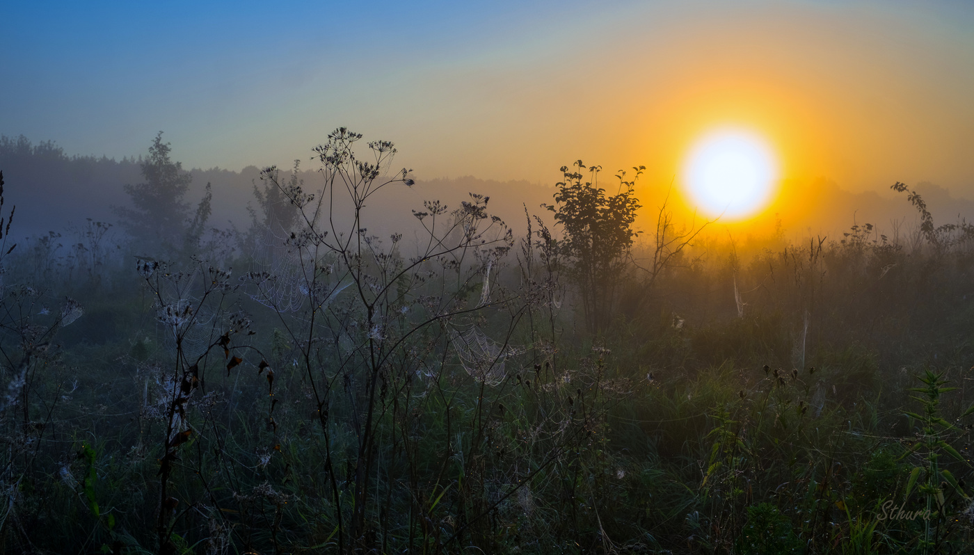 Рассвет в лугах.