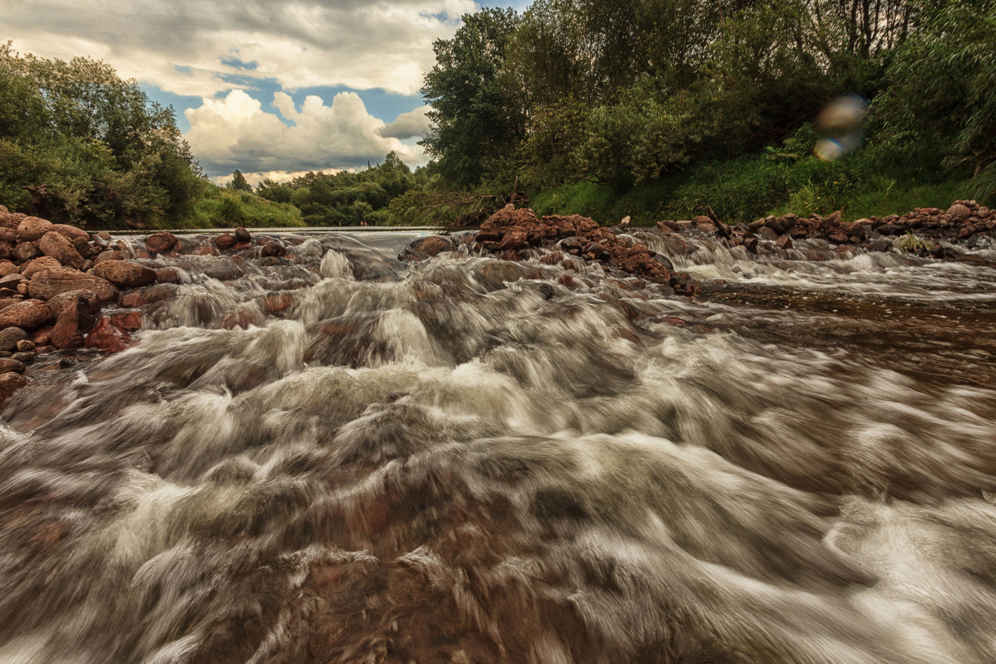 Жизнь вокруг