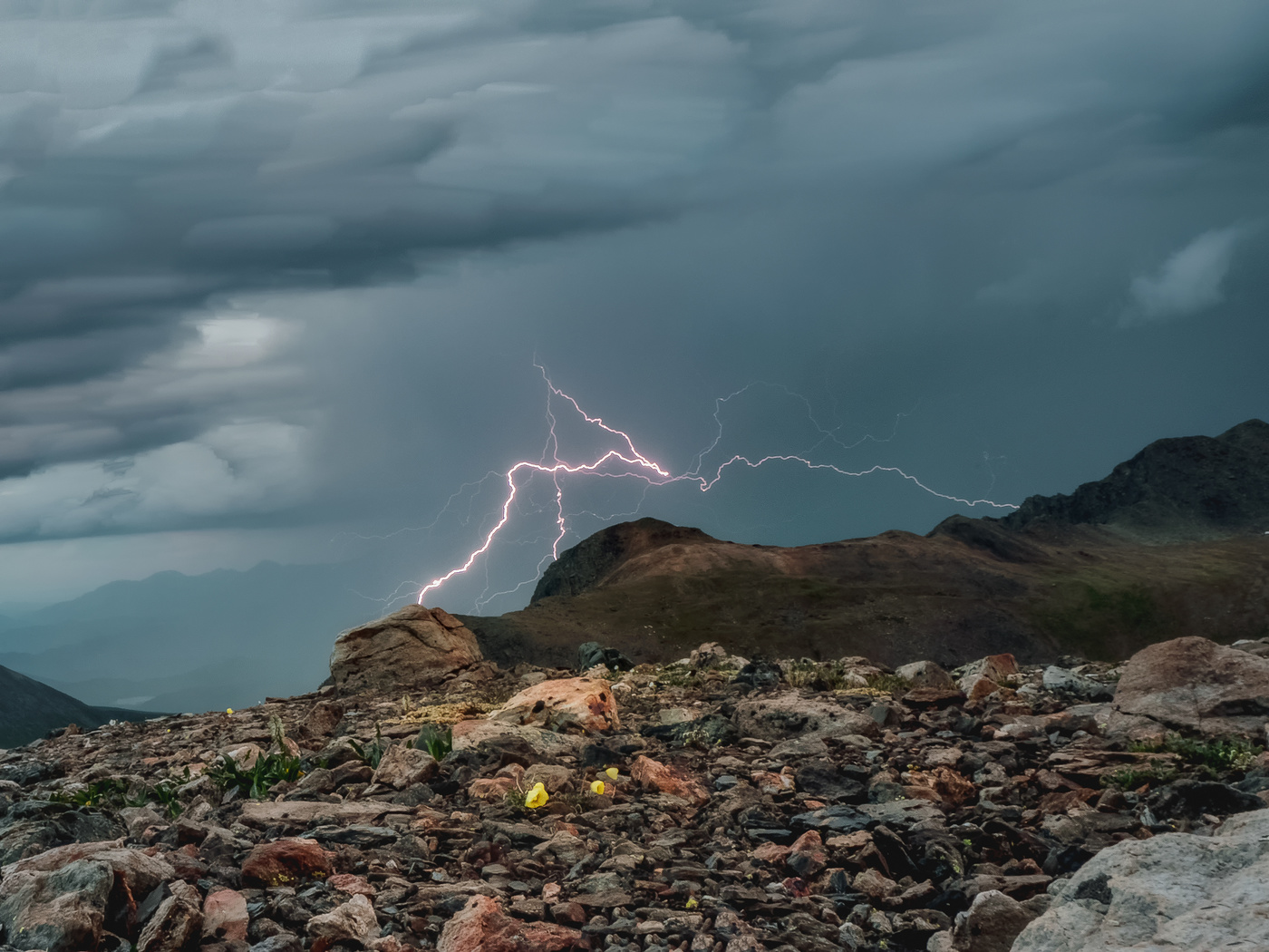 Когда не хочется выходить из палатки даже ради съемки. Алтай. Июль.