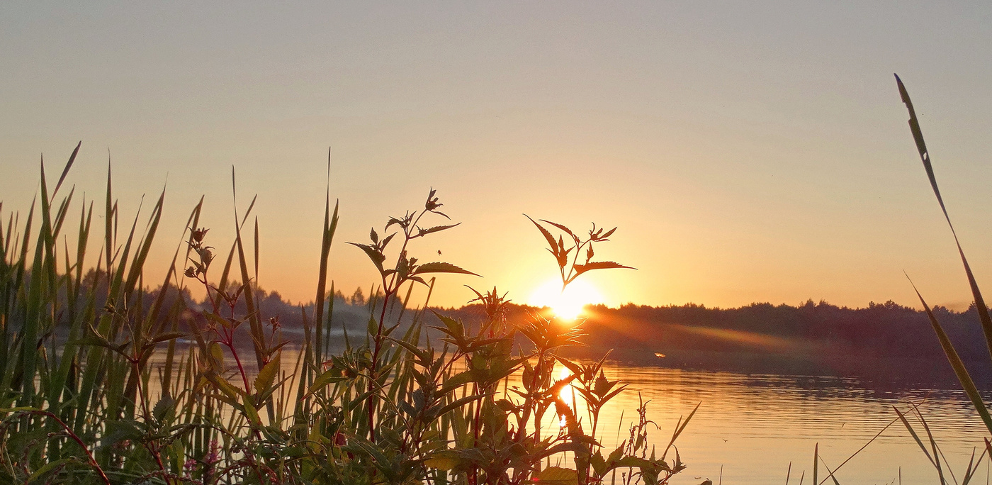Августовским вечером