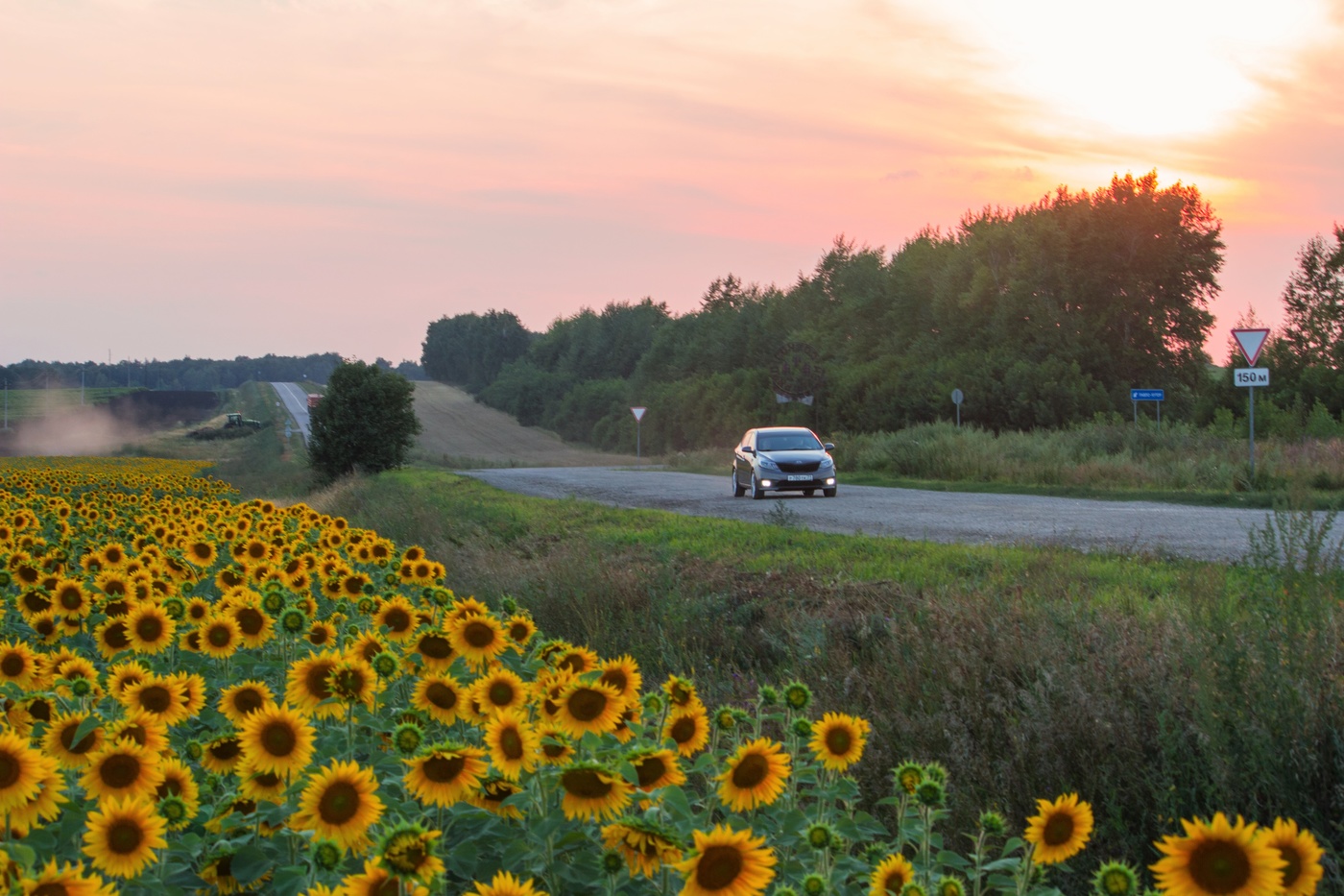 Закатно-подсолнечное
