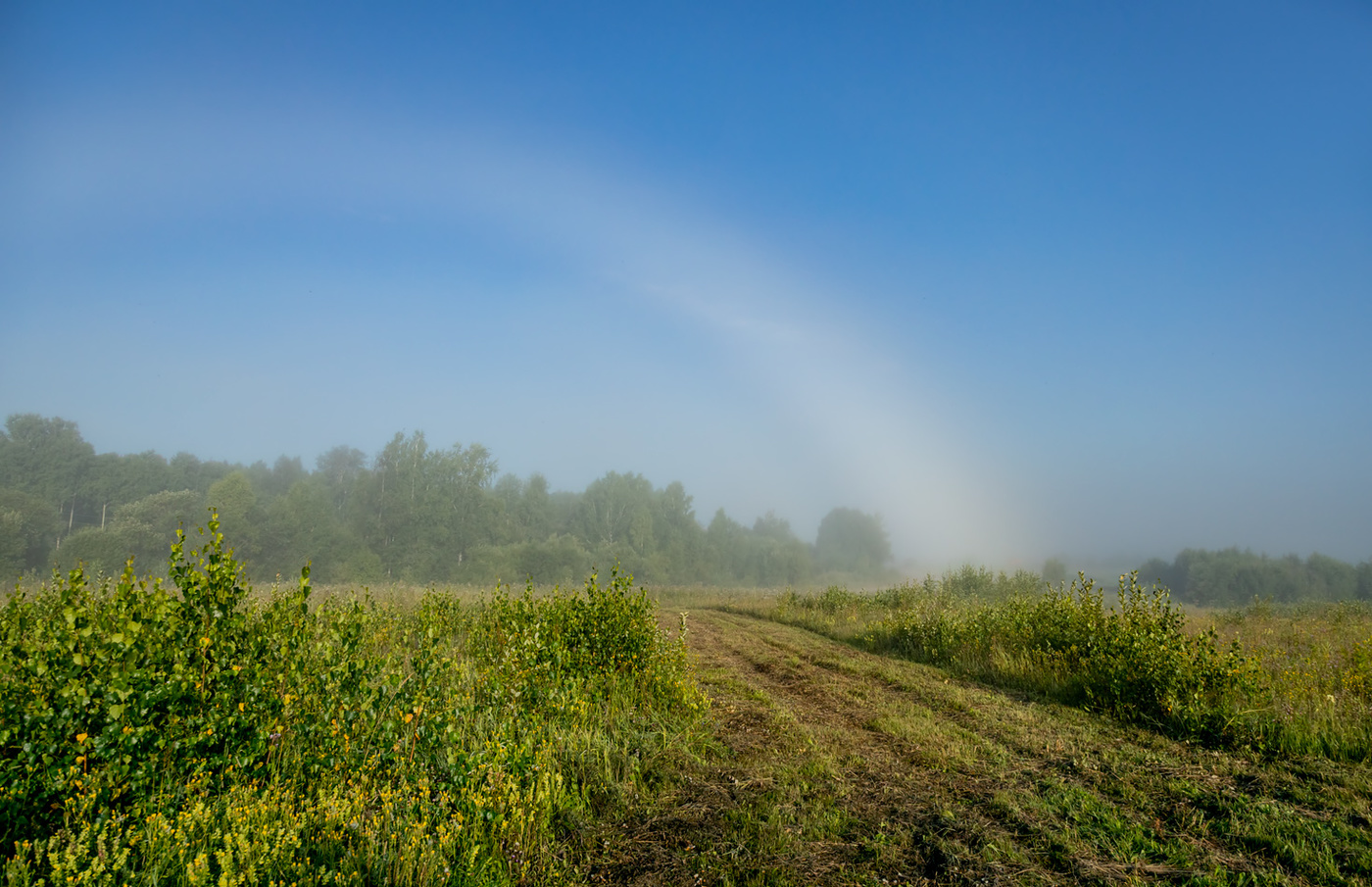 Туманная радуга