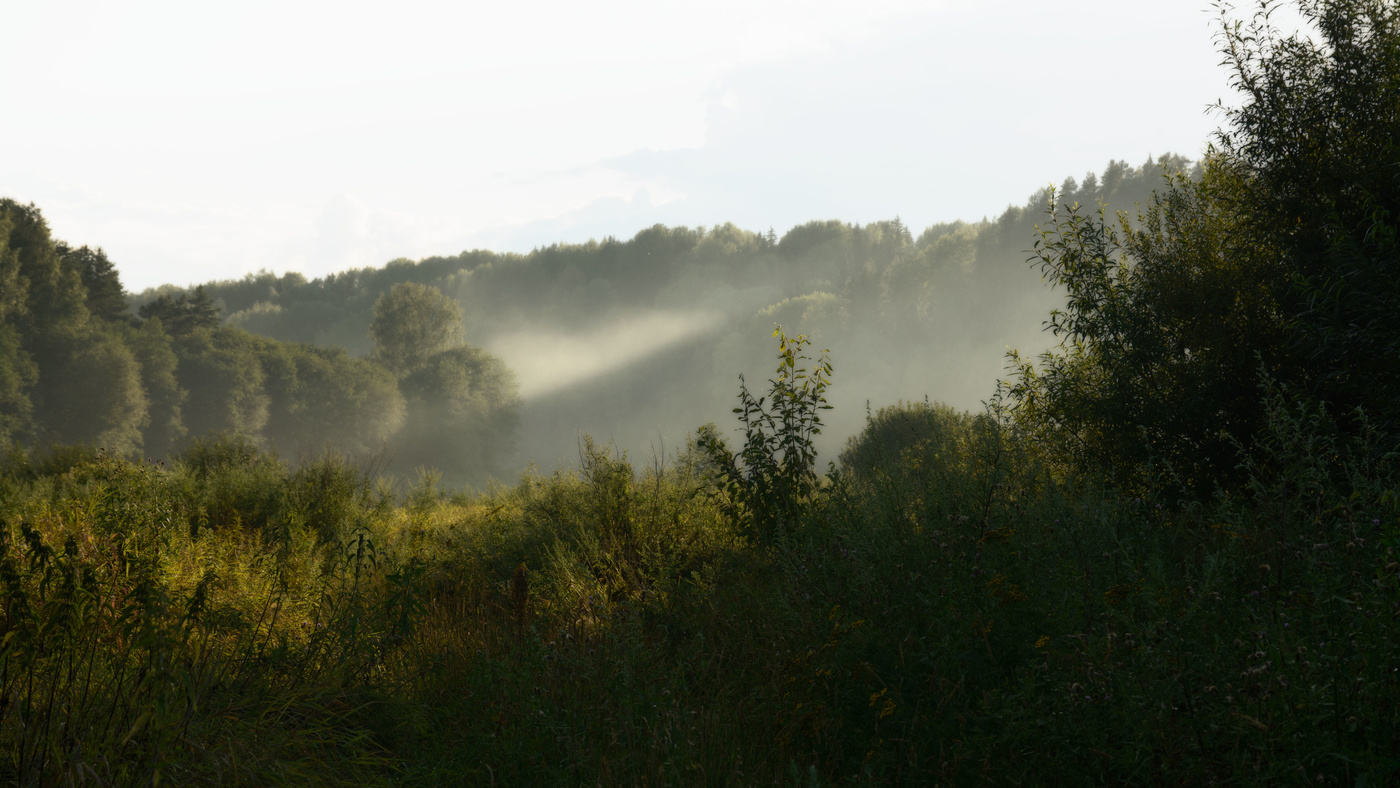 Жизнь вокруг