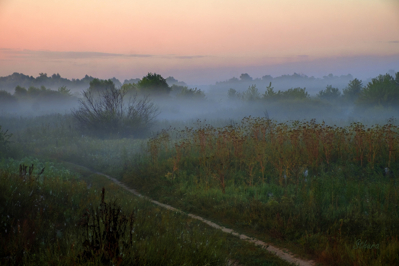 Туман по лугам.
