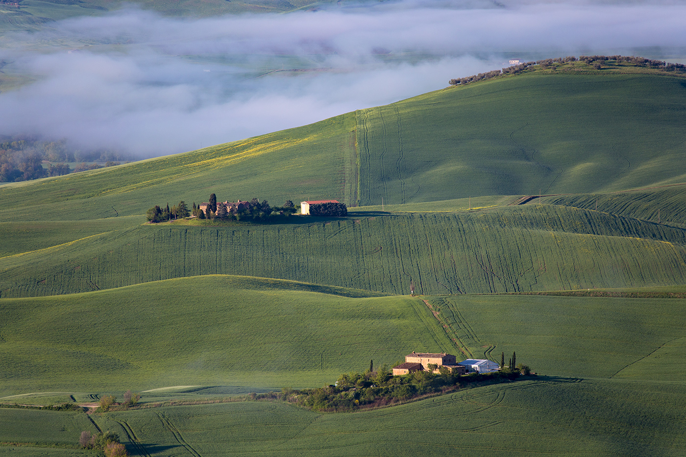 Местами туман