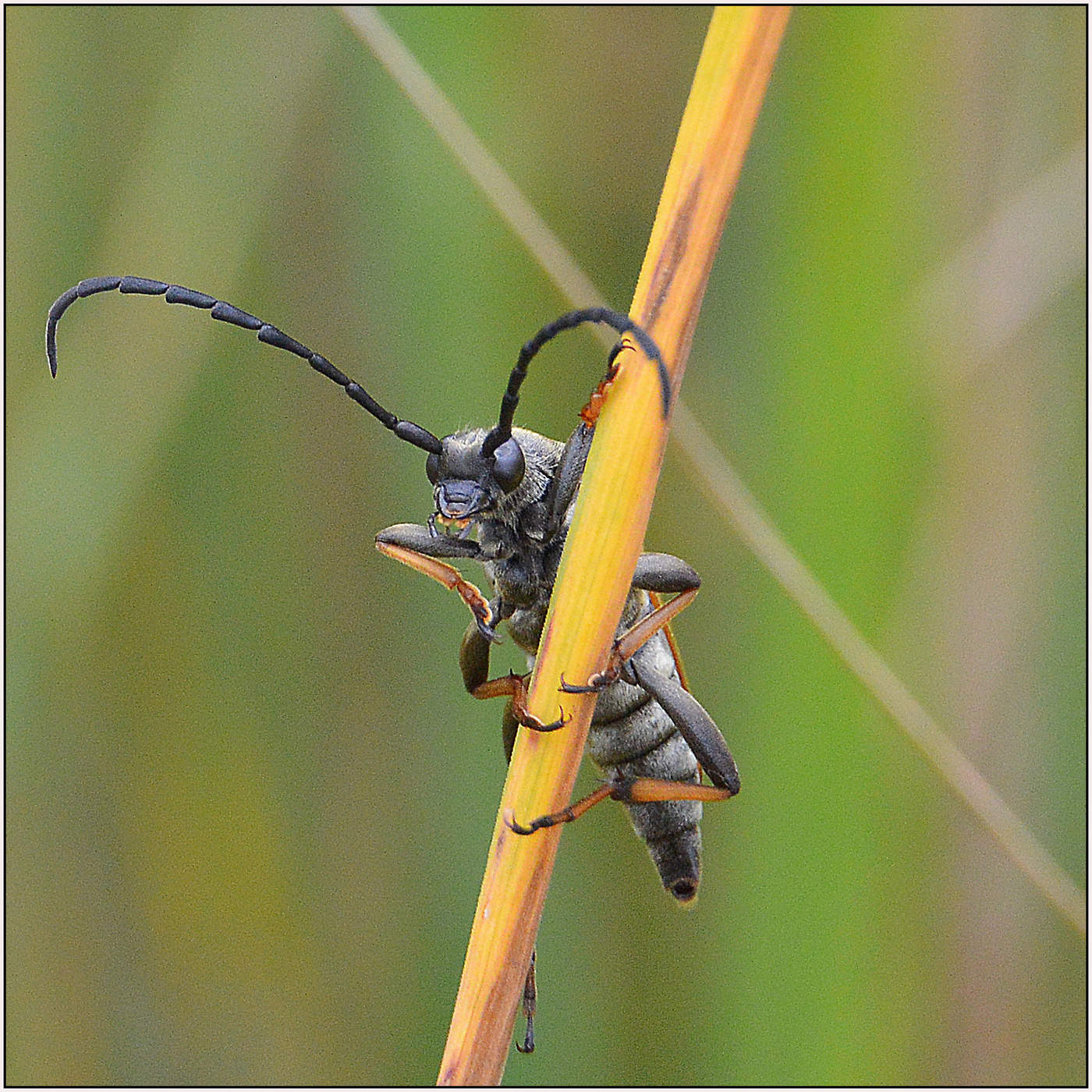 Что не понятно?