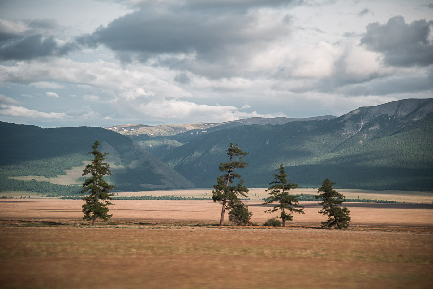 Три "тополя" на Плющихе...