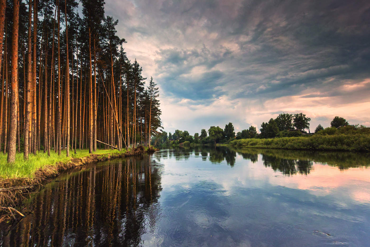 Сосновый бор у синей реки