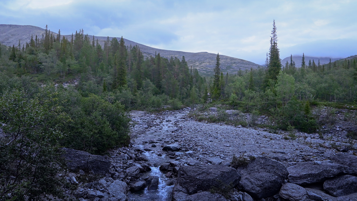 Время белых ночей
