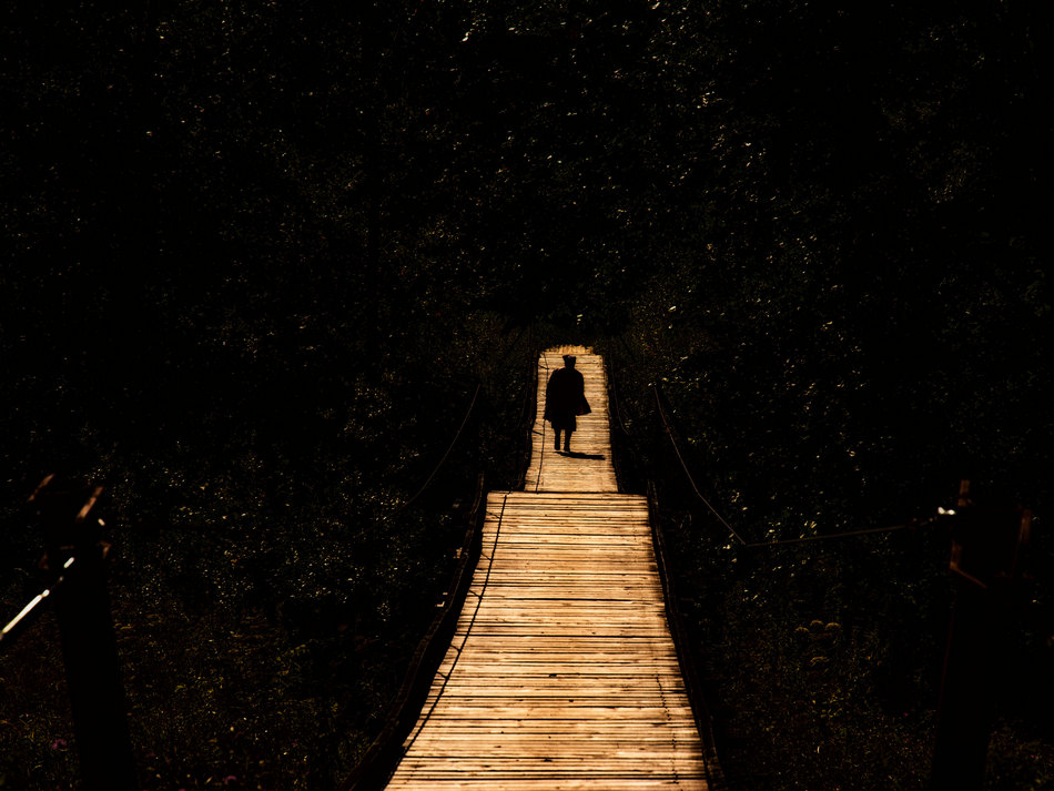 Жизнь вокруг