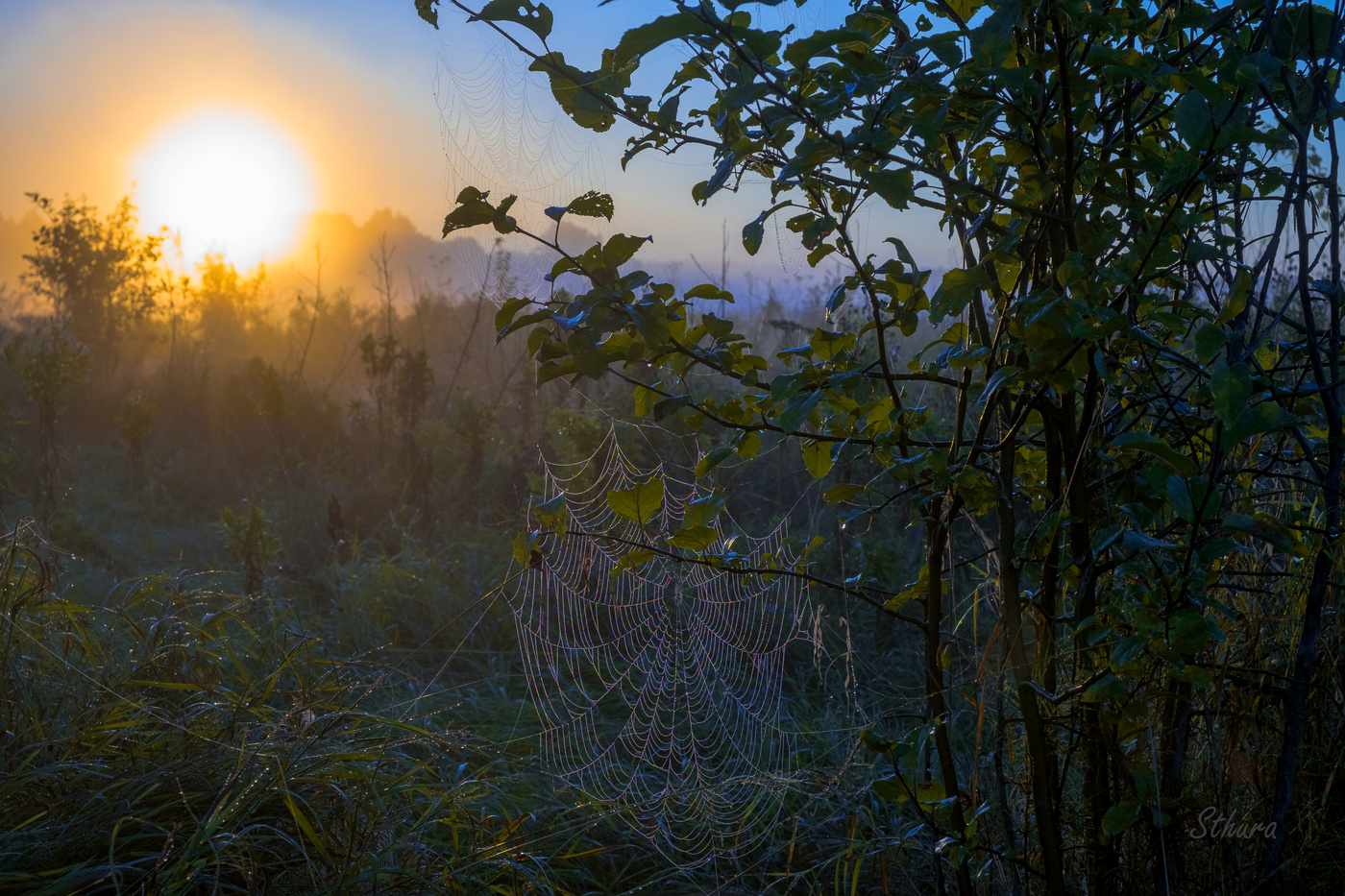 Утренний этюд.