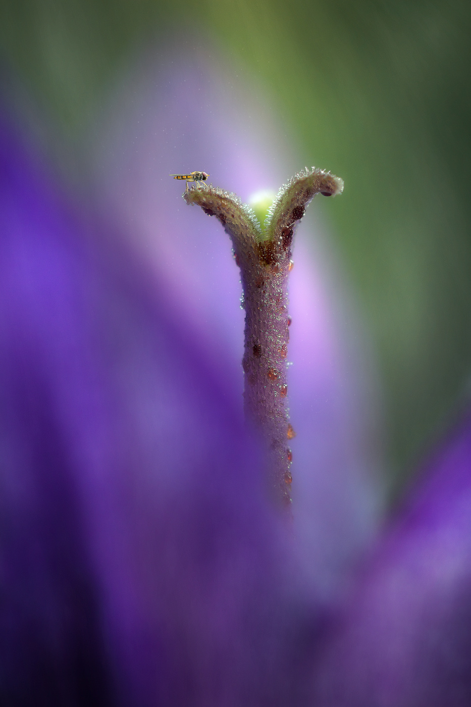 Где-то во Вселенной...