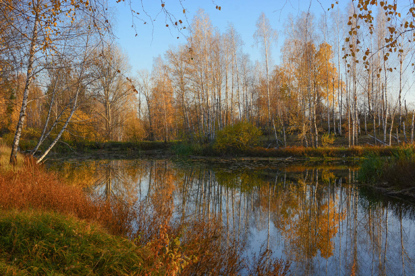 Про вечерний несказанный свет...
