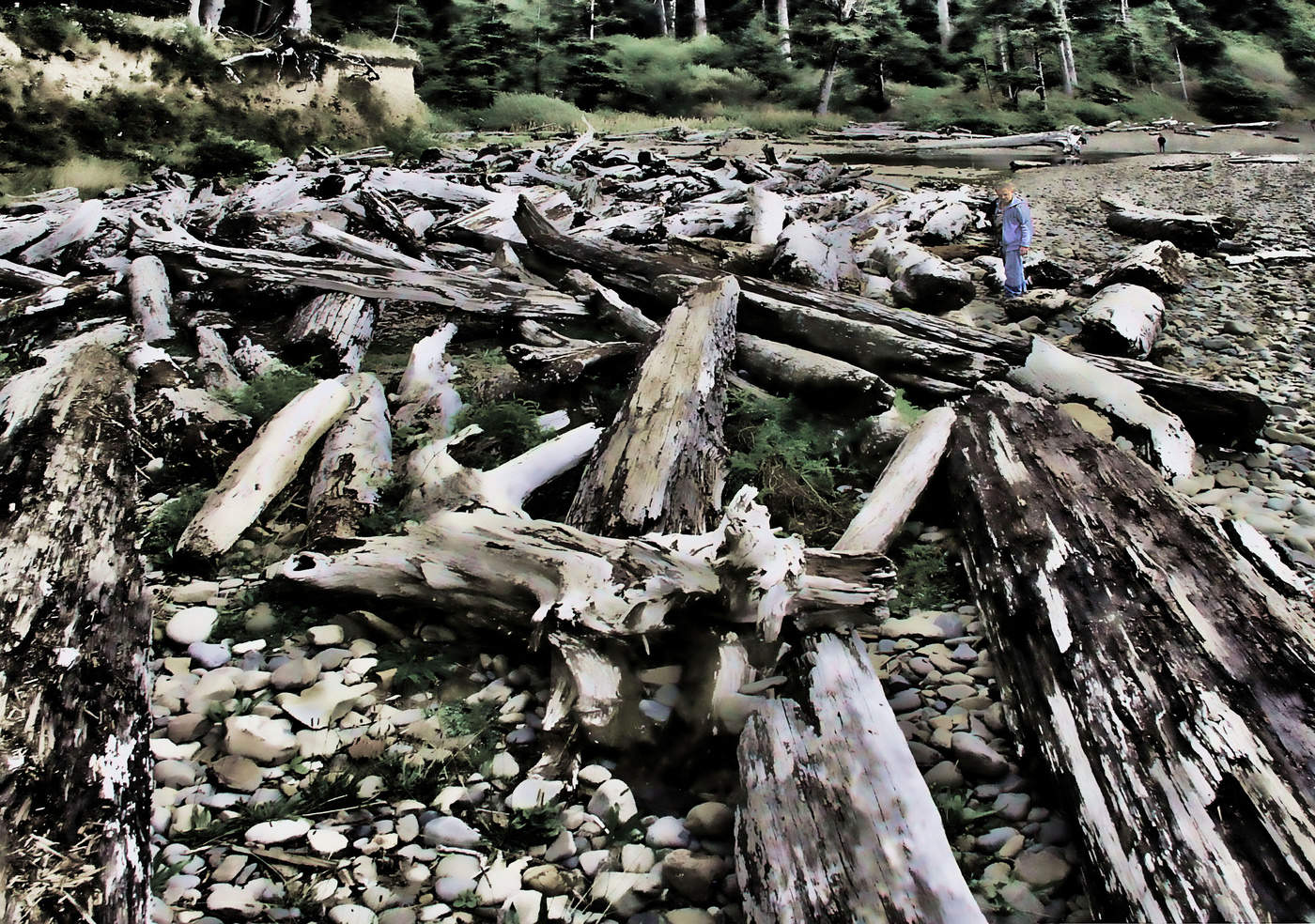 Следы стихии