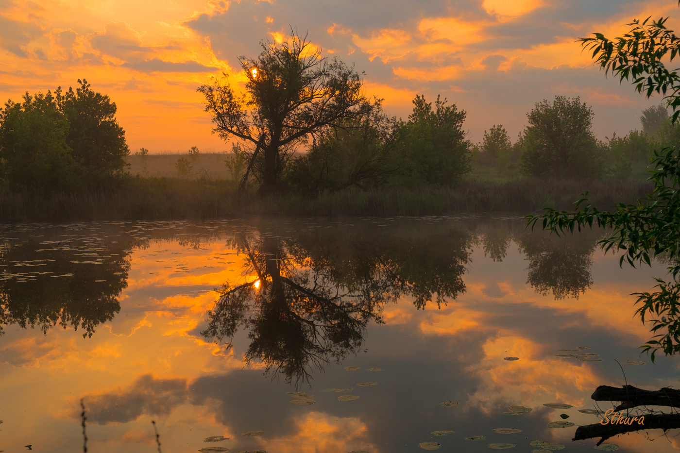 Майское утро.