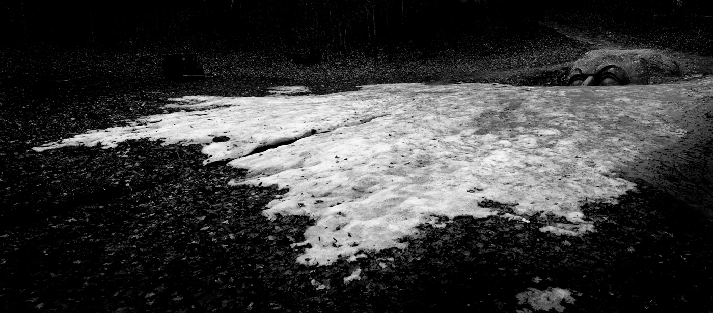 Там чудеса: там леший бродит...- 5