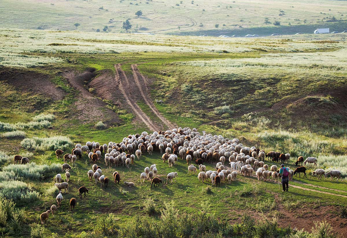 Пробка на трассе