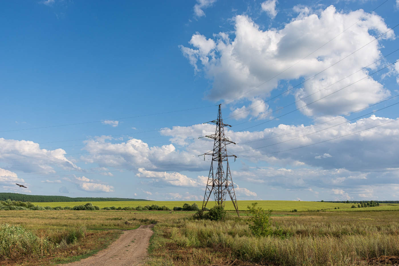 Август...твои пути - дороги...