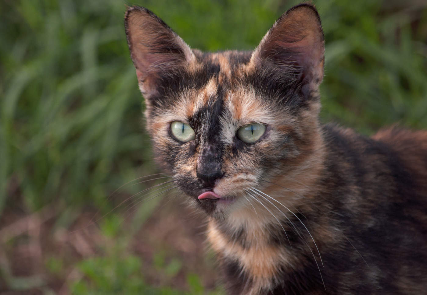 Вижу цель...!!!!