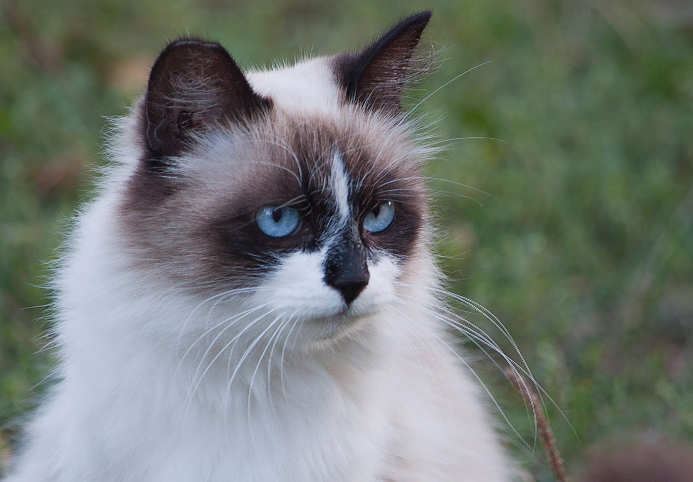 Внимательный взгляд...