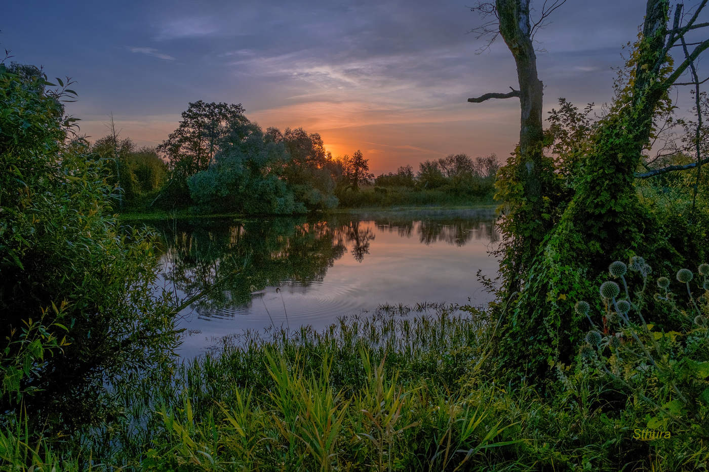 Туча надвигается.
