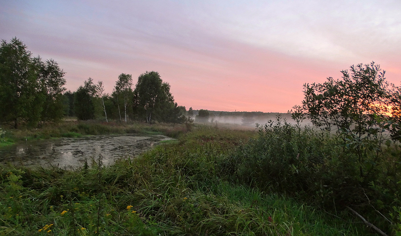 Вечер красивый и туманный