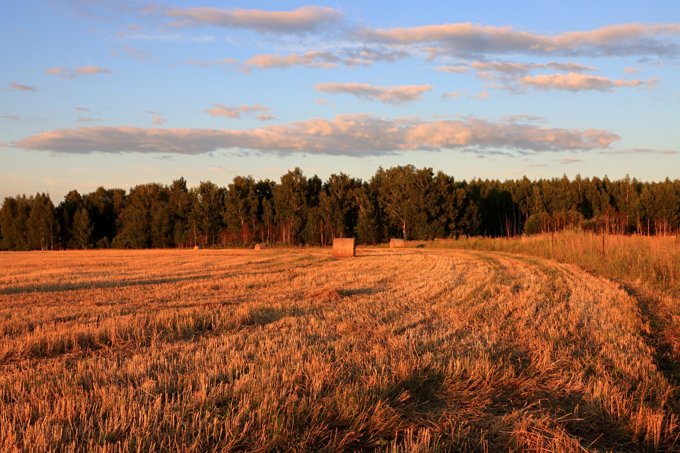 Август. На закате.
