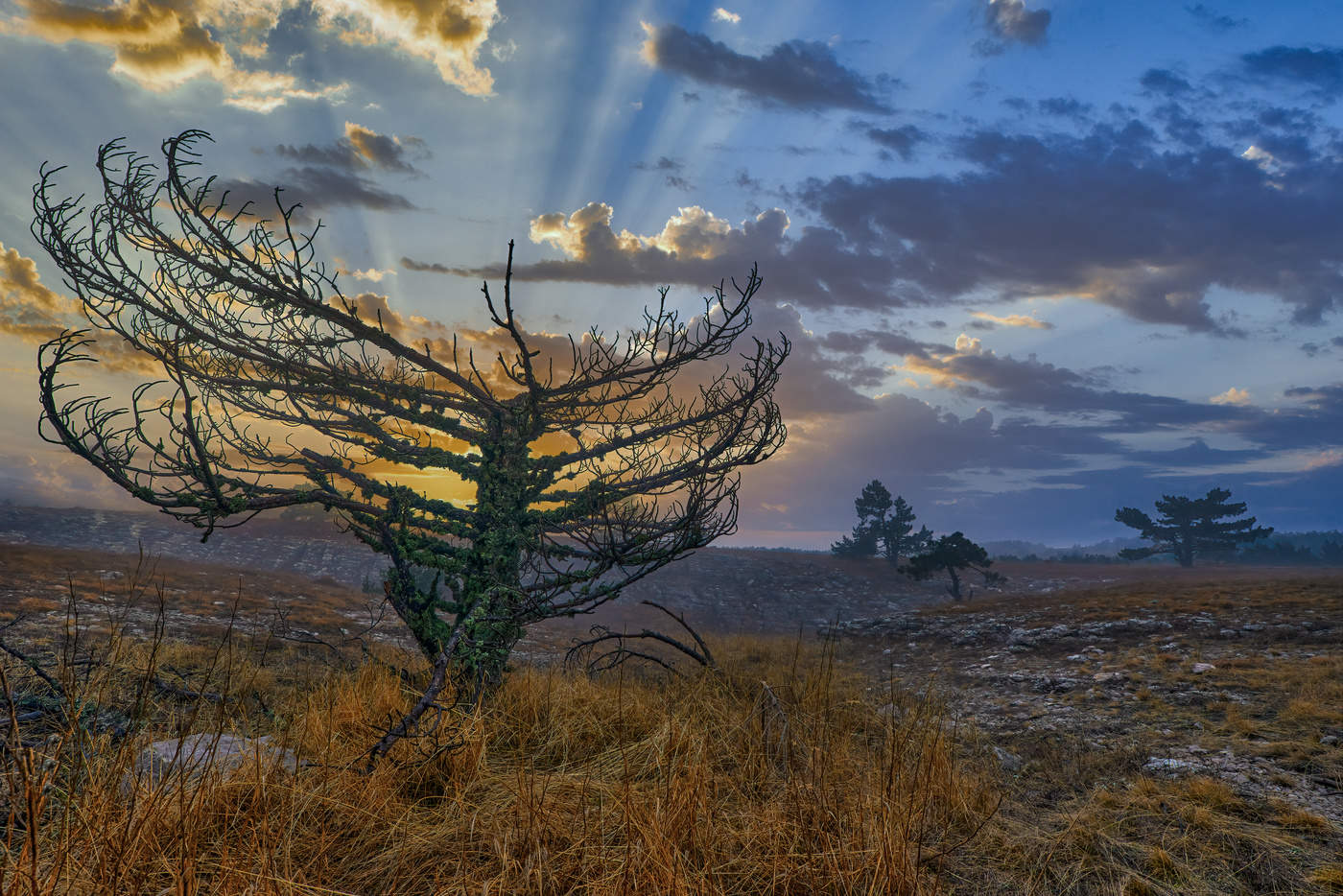 Последние тёплые лучи.