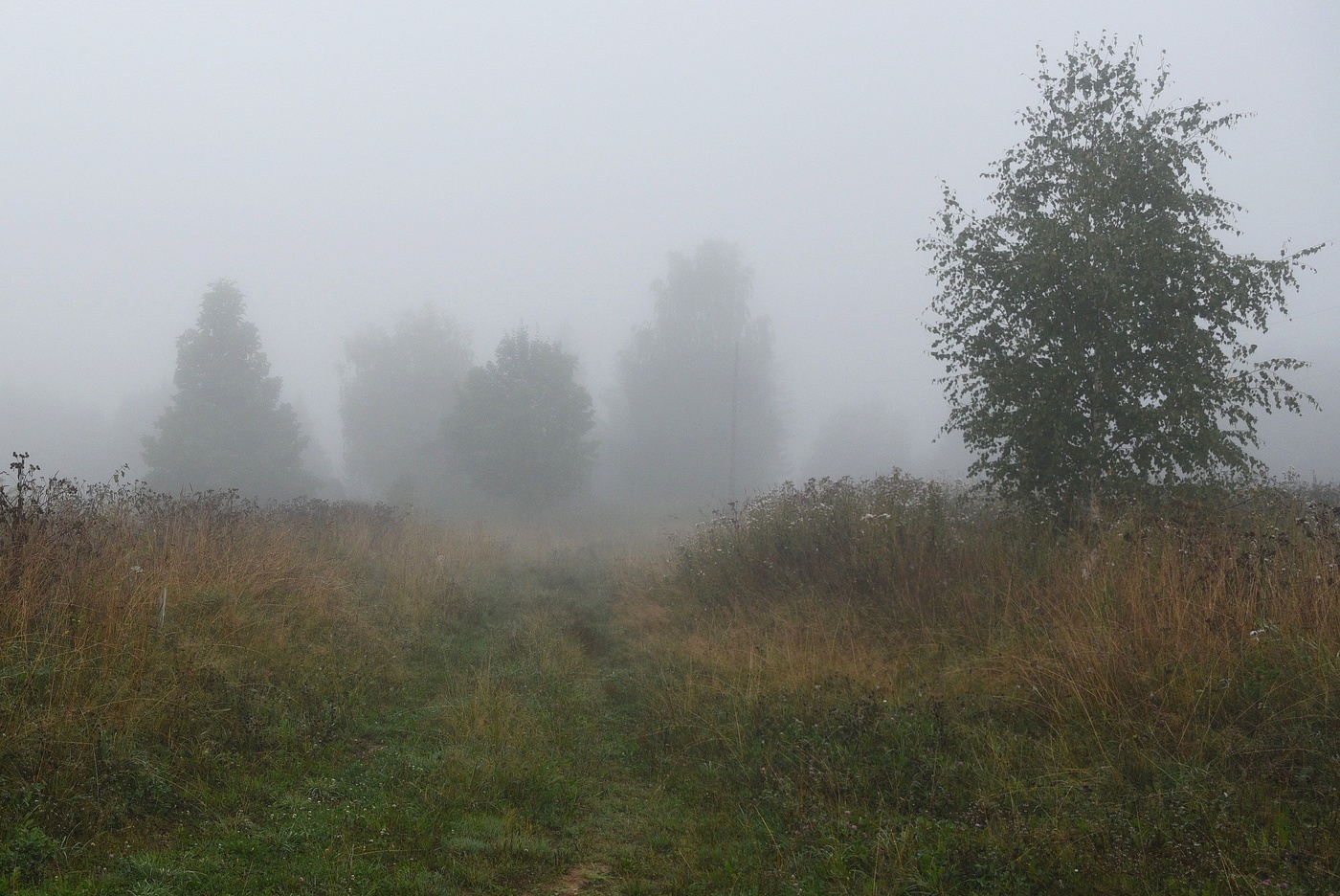 "Скоро осень, за окнами август ..."