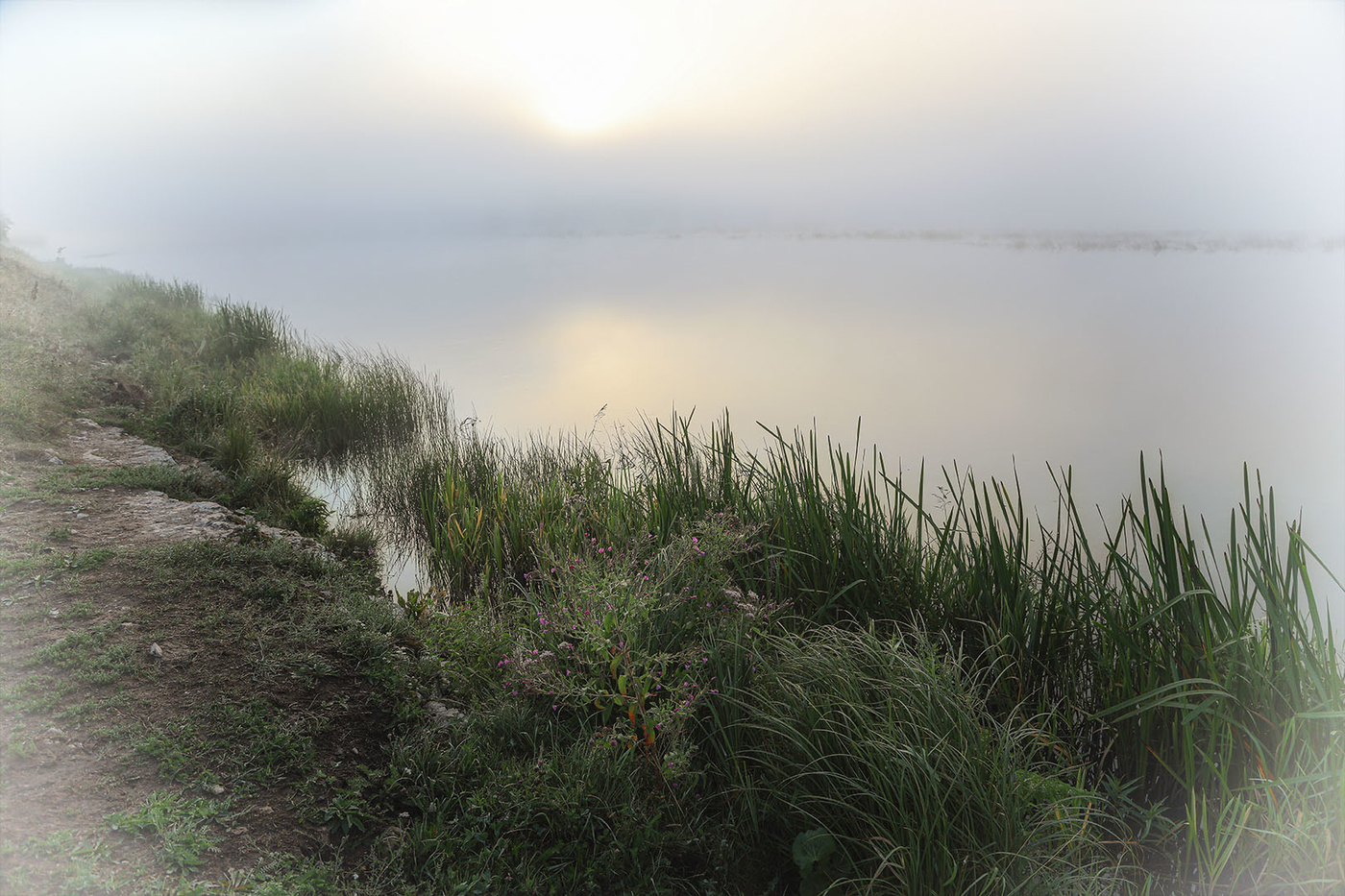 Молочные реки...