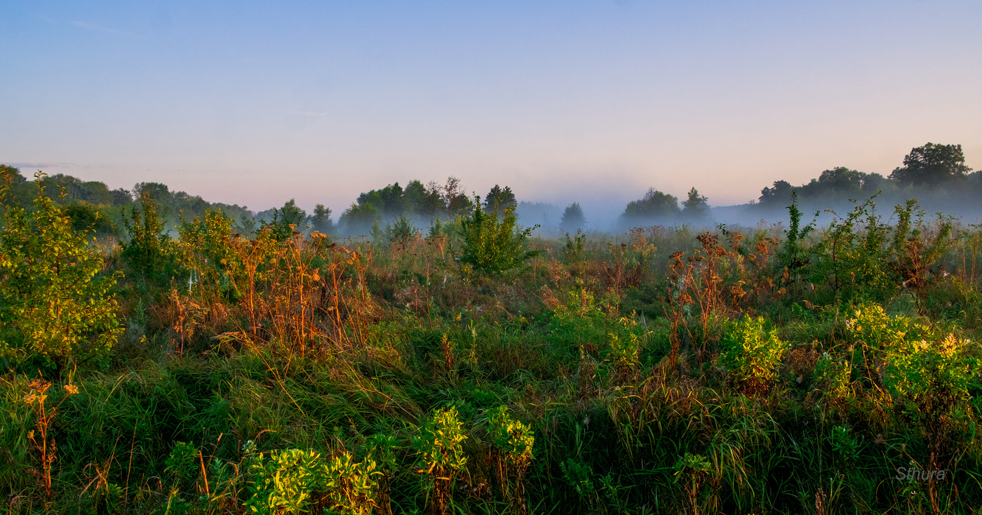 Брожу по лугам.