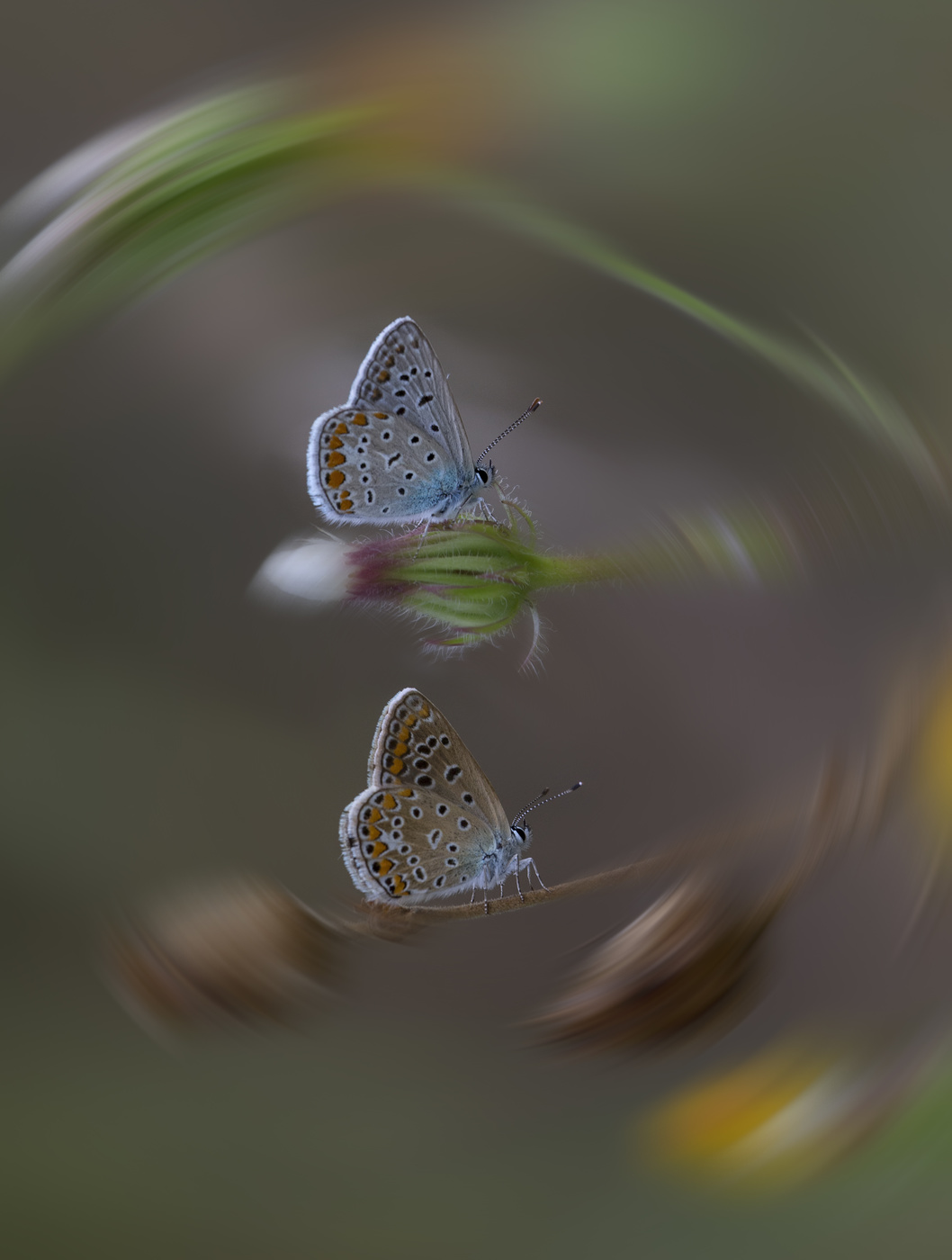 Летняя круговерть