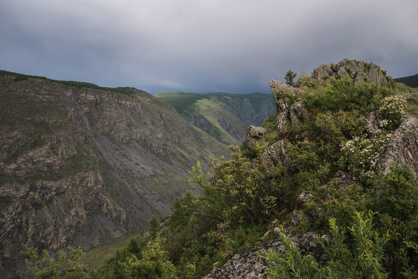 "Острый нос"