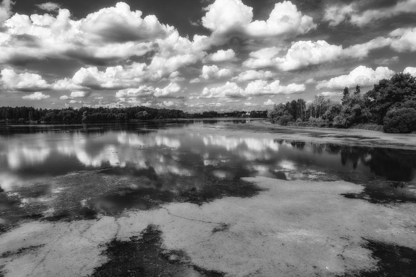 Жизнь вокруг