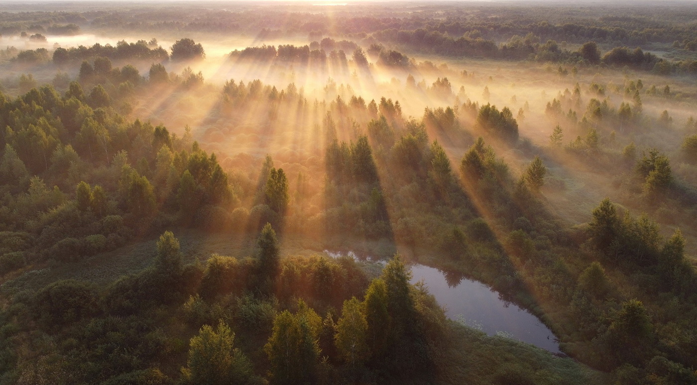 Утренний свет
