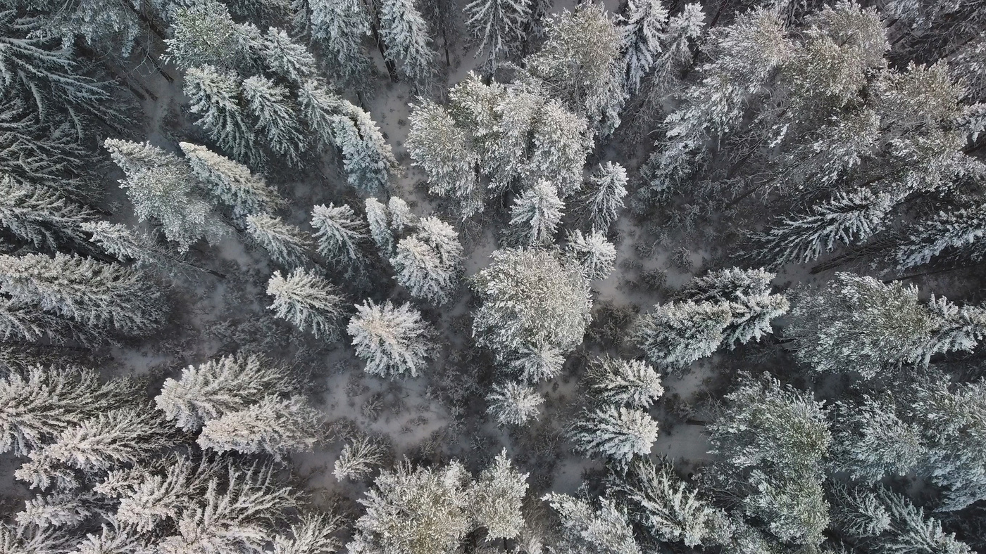 зима близко...