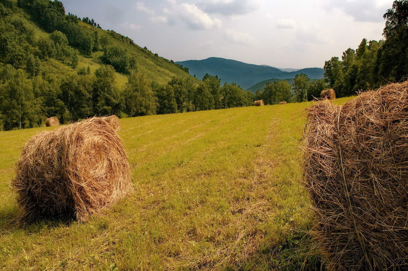 Жарким полднем.