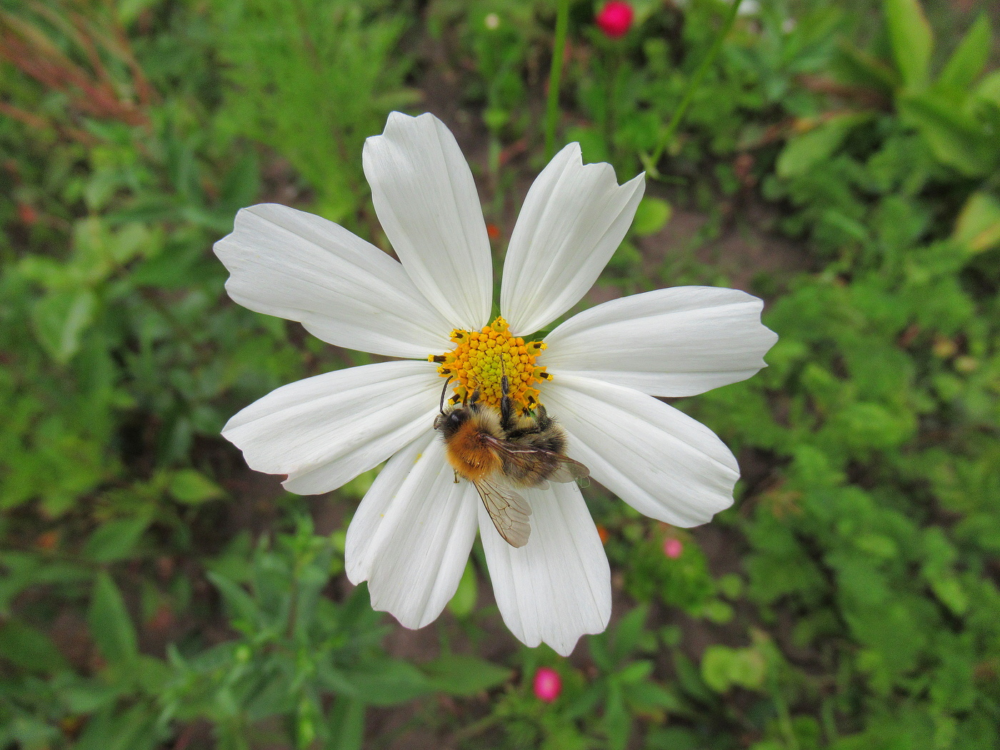 Снизу удобней