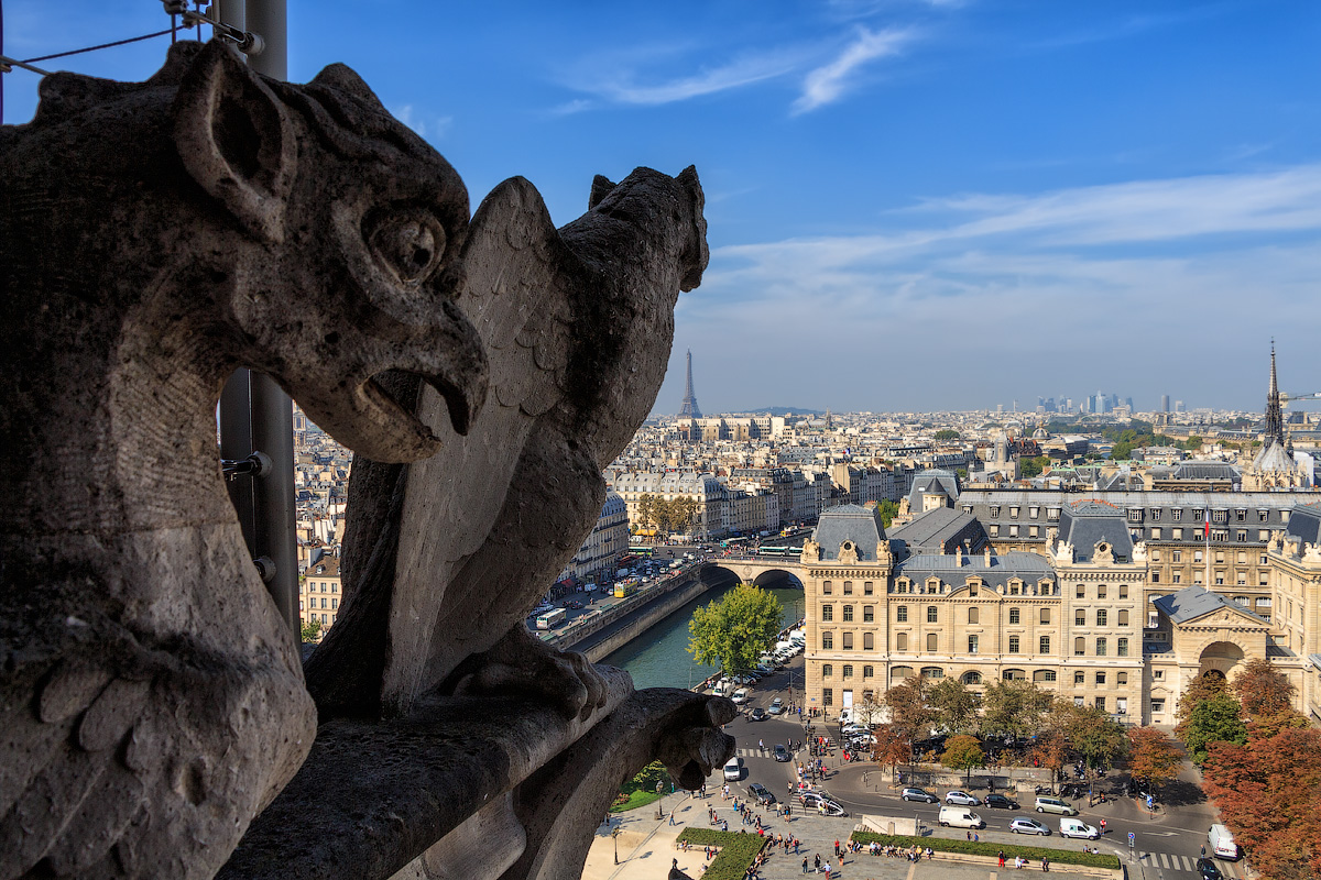 Химеры Собора Нотр-Дам-де-Пари